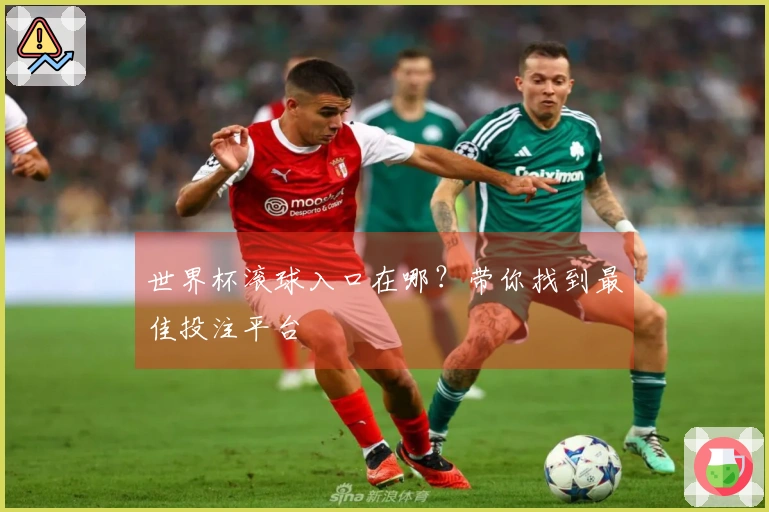 世界杯滚球入口在哪？带你找到最佳投注平台