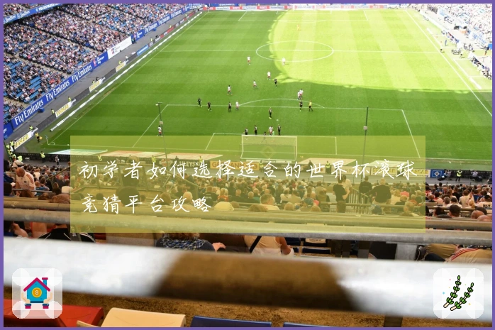 初学者如何选择适合的世界杯滚球竞猜平台攻略