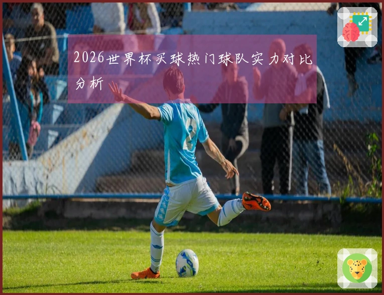 2026世界杯买球热门球队实力对比分析