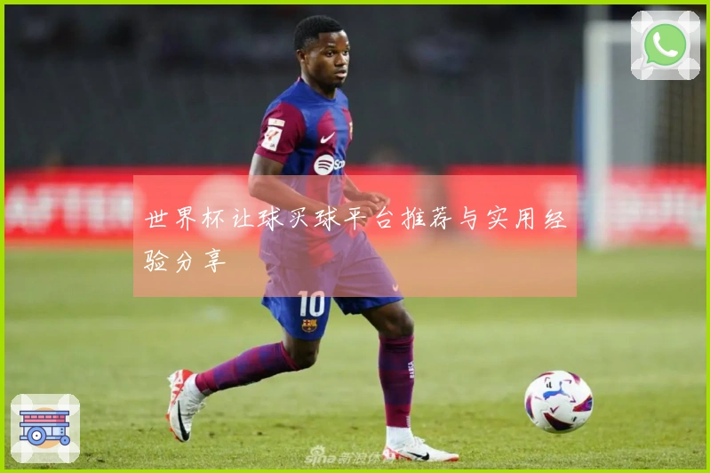 世界杯让球买球平台推荐与实用经验分享