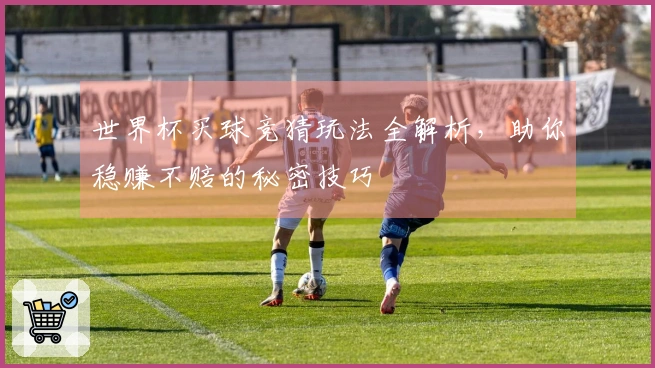世界杯买球竞猜玩法全解析，助你稳赚不赔的秘密技巧