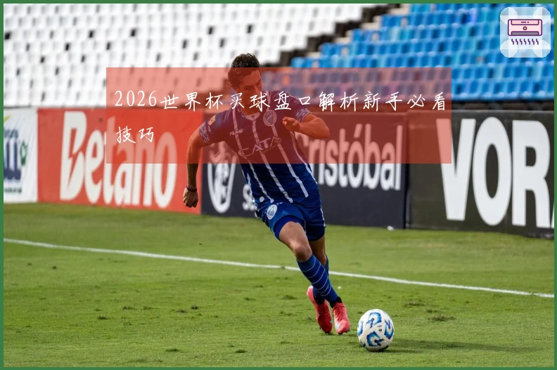 2026世界杯买球盘口解析新手必看技巧