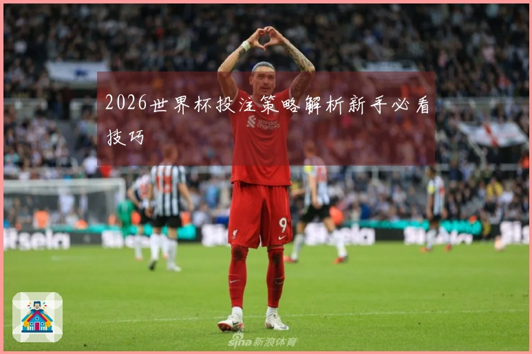 2026世界杯投注策略解析新手必看技巧