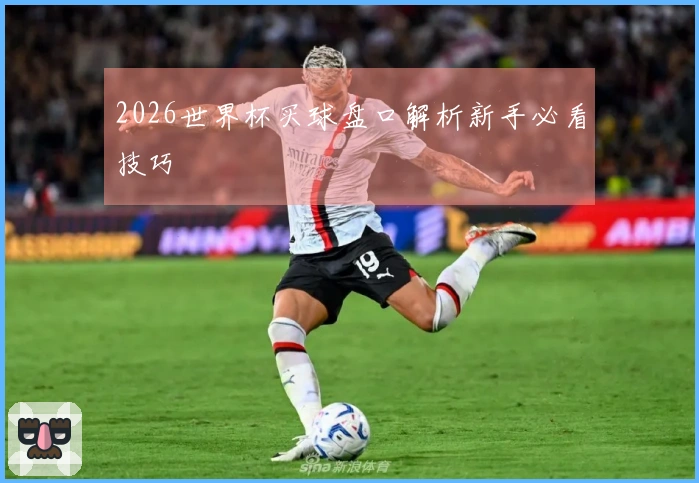 2026世界杯买球盘口解析新手必看技巧