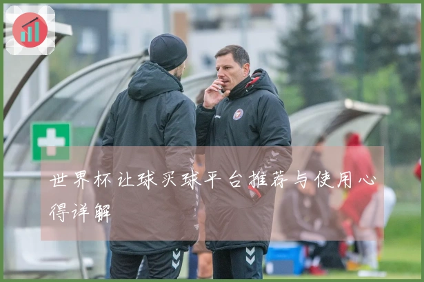 世界杯让球买球平台推荐与使用心得详解