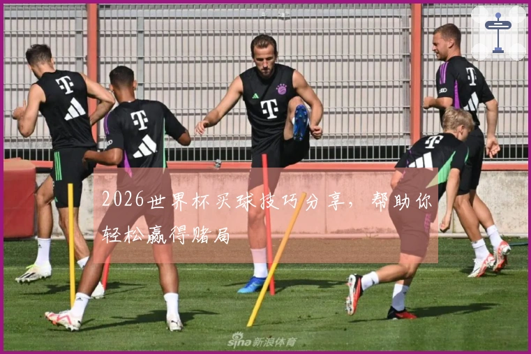 2026世界杯买球技巧分享，帮助你轻松赢得赌局